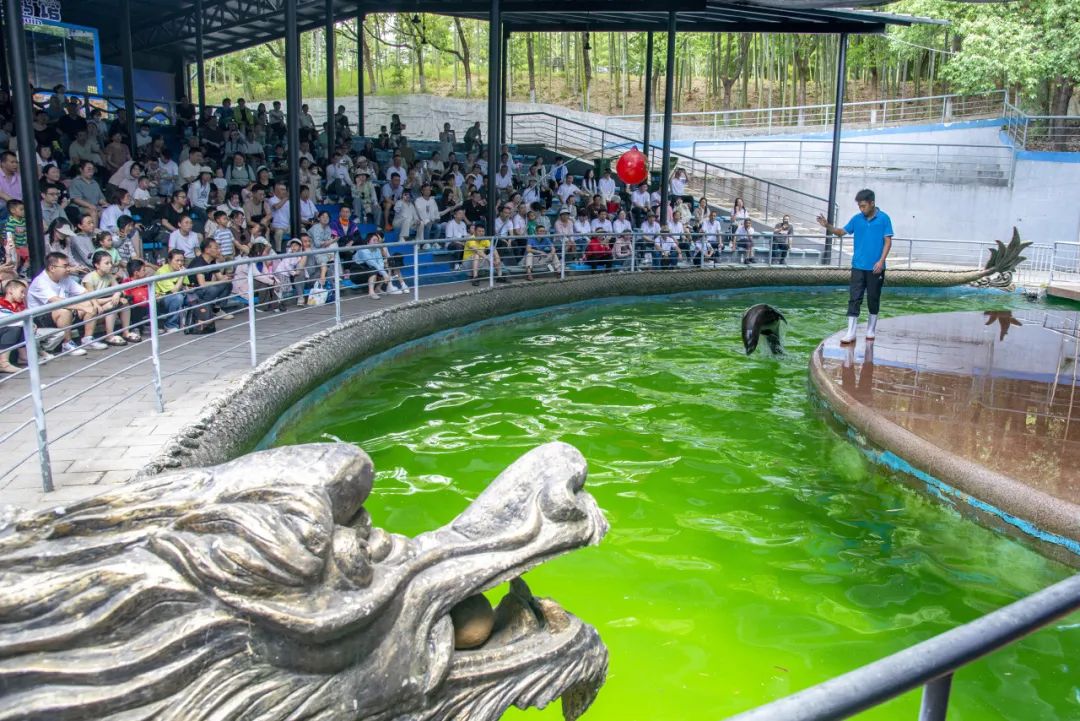 熱辣滾燙 揚(yáng)帆未來(lái)——巨人集團(tuán)公司團(tuán)建之旅 熱辣滾燙 揚(yáng)帆未來(lái)——巨人集團(tuán)公司團(tuán)建之旅